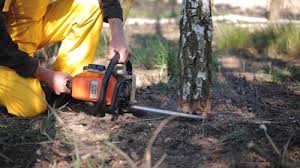 Lawn Watering Services in Flordell Hills, MO