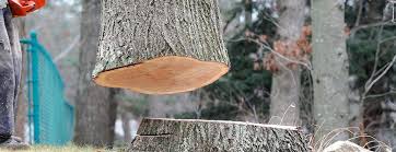 Best Tree Risk Assessment  in Flordell Hills, MO